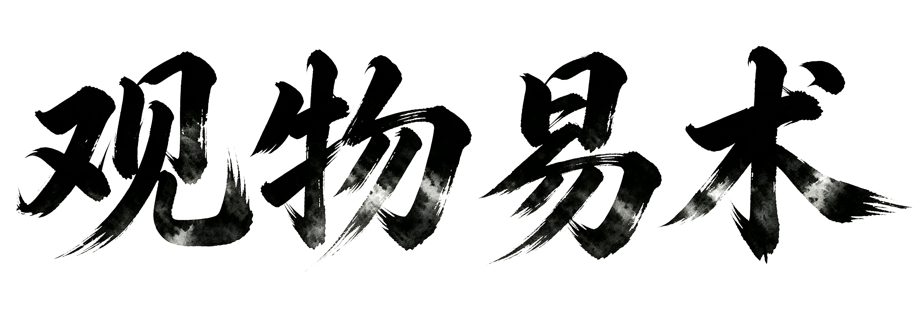 观物易术